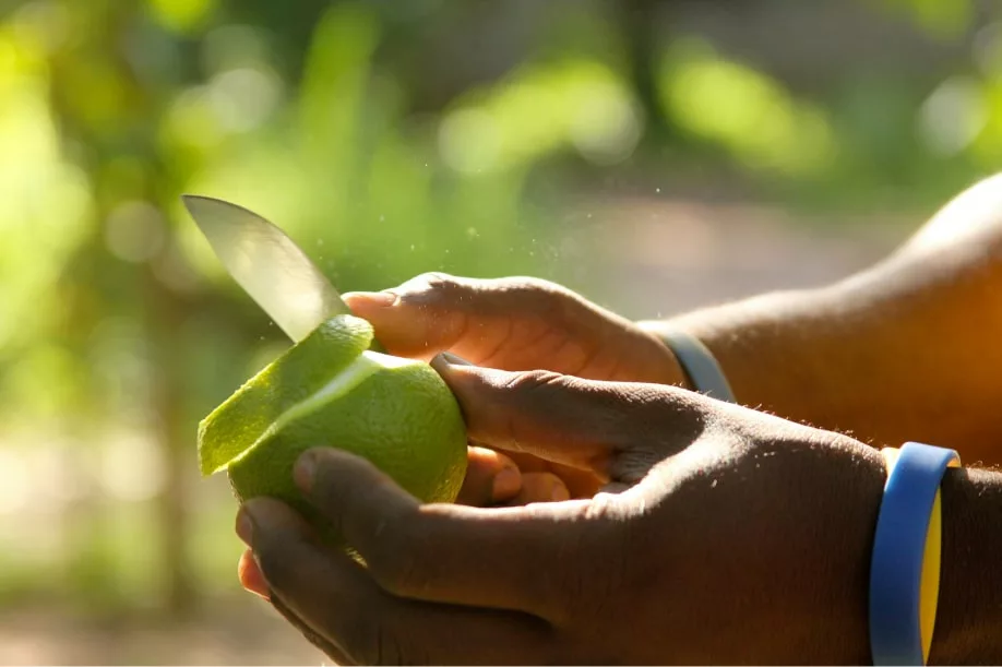 person pealing skin of green fruit with a knife